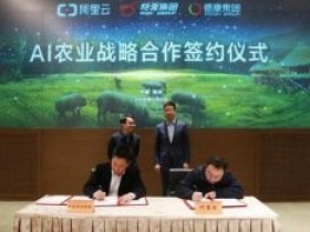 阿里也投身养猪大业!人工智能帮母猪多生 3 个仔