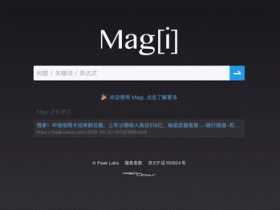 Magi :搜索引擎界的一股清流