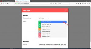 分享六种方法下载 YouTube 视频（无需安装任何软件的教程）